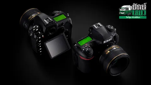 NIKON แนะนำกล้องโปรรุ่นใหม่ D850 เทพแห่งความละเอียด!
