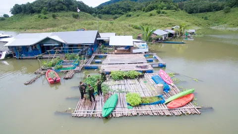 ทหารจัดการผักตบชวาในแก่งก้อ จ.ลำพูนเปิดทางเรือ นร.มาโรงเรียนได้ปลอดภัย