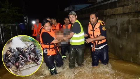 สังเวยน้ำป่าดอยนางนอน เฒ่าถูกไฟช็อตเสียชีวิต-ซุ้มไก่ชนกระอักตาย 50 ตัว