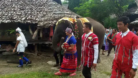 สาวญี่ปุ่นปิ๊งหนุ่มควาญช้างชาวกะเหรี่ยง ระฆังวิวาห์ดังลั่นสนั่นดอย