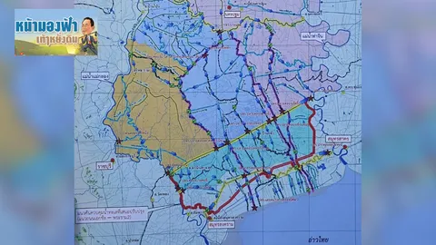 “โกฐจุฬาลัมพา” สายพันธุ์จีนสรรพคุณเยอะ