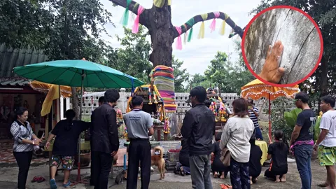 หาเลขเด็ดก่อนเป็นเศรษฐี ชาวปทุมฯ ขอตะเคียนยืนต้นตายร้อยปี มี 6 อีกแล้ว