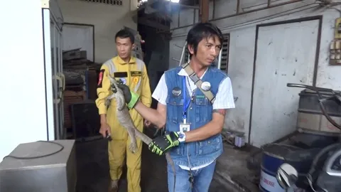 เงินมากอง ทองมาหา ชาวบ้านแห่ตีเลขเด็ด ตัวเงินตัวทองวิ่งเข้าบริษัทขนส่ง 