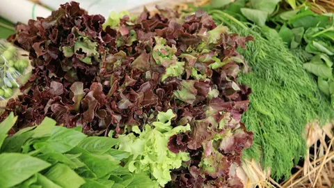 'พาณิชย์' ดันเกษตรอินทรีย์โตปีละ 20% หวังเติบโตสอดคล้องตลาดโลก