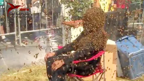 ทุบสถิติโลกใช้ “ผึ้ง” ทำ “เครา”