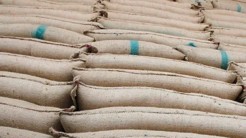 พาณิชย์ไล่จับพ่อค้าข้าว-โรงสี ติวเข้ม! เกษตรกรรู้ทันกลโกงเครื่องชั่งน้ำหนัก