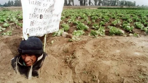 ชาวไร่เปรูถูกบุกยิงดับ 6 ศพ เชื่อสังหารไล่ที่