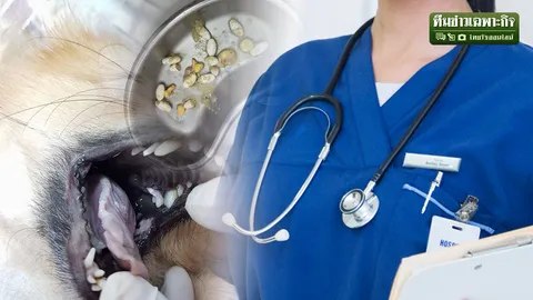 คนแรกในประวัติศาสตร์ ดราม่า(ว่าที่)หมอฆ่าหมา ตั้งใจ หรือ วิกลจริต อนาคตก็ดับวูบ