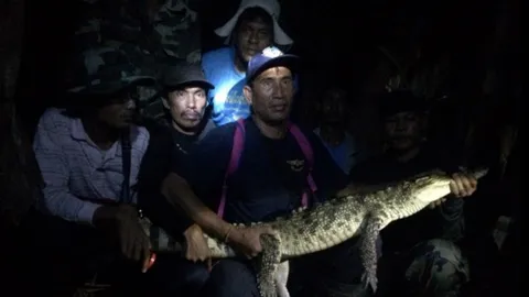 ทีมไกรทอง ยังคงไล่ล่าจระเข้หลุดจากฟาร์ม จับเพิ่มได้อีก 1 รวม 26 ตัว