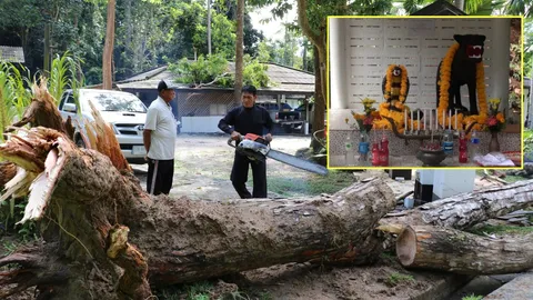 พายุถล่มน้ำตกโตนงาช้าง เสียหายไม่มาก คนเชื่อ ‘ทวดตาขุนดำ-ป๊ะหวา’ ช่วย