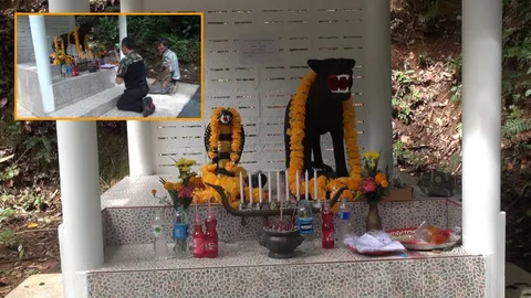 ปาฏิหาริย์พ่อทวดโตนงาช้าง! ประทัดแก้บน พายุถล่มรุนแรง ปัดเป่าคน ไร้เจ็บ-ตาย  