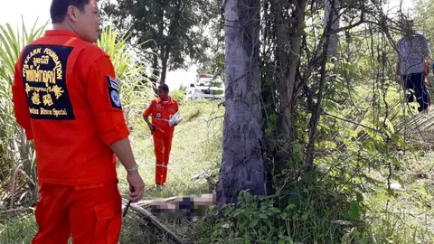 ปีนต้นมะพร้าวจะเอาลูกนก หนุ่มเลาขวัญ พลาดตกลงมาคอหักตาย 