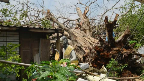 หนุ่มใหญ่กรุงเก่าหวิดดับ ลมพายุแรงพัดต้นโพธิ์หักทับบ้านพังทั้งหลัง