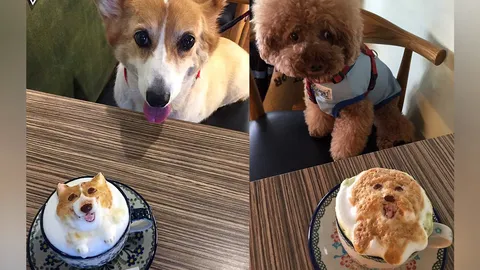 แค่วาดดอกไม้ OUT แล้ว! ยุคนี้ บนกาแฟคุณ มันต้องระดับ 3D