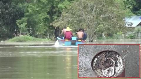 ชาวบ้านที่สตูลผงะ! ปลากระป๋องเน่า ขี้แมลงสาบเกาะ ซุกถุงยังชีพน้ำท่วม