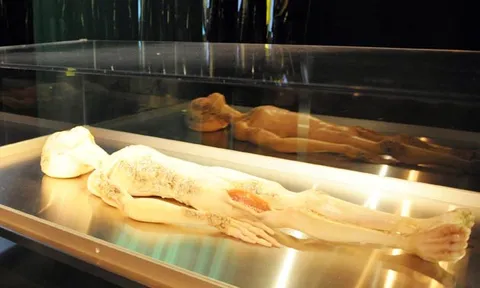 เตือนการตามล่าหาตัวตนมนุษย์ต่างดาวเจอเครื่องกลไกแทน