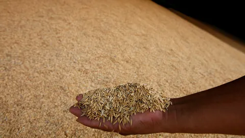 รัฐทุ่ม 8.7 หมื่นล้านอุ้มราคาข้าว ผู้ส่งออกโวยบาทแข็งทำขายพ่ายเวียดนาม