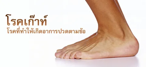 โรคเก๊าท์ โรคที่ทำให้เกิดอาการปวดตามข้อ 