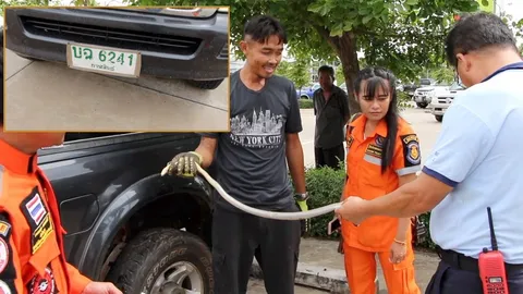 เชื่อมาให้โชค!! งูเลื้อยเข้ารถทะเบียน 6241 สาวเจ้าของ ลุ้นเลขเด็ด