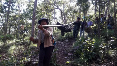 สลด! หมูป่าใช้เขี้ยวไล่แทงหนุ่มใหญ่ดับบนเขา ระหว่างพาฝูงวัวปล่อยกินหญ้า