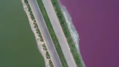 ตื่นตาตื่นใจ ทะเล‘เดดซี’ ในจีน เปลี่ยนเป็นสีชมพู สวยงามตระการตา (คลิป)