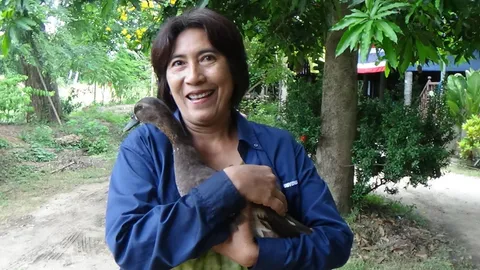 นี่เป็ดเอง! ยูโร สัตว์เลี้ยงแสนรู้ เล่นกับหมาแมวจนลืมว่าเป็น 'เป็ด' (คลิป)