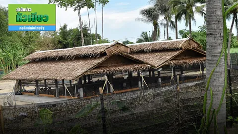 ไม่สูญพันธุ์