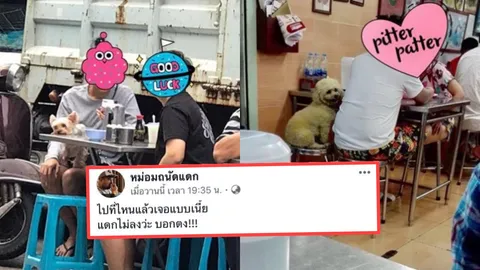 สงครามย่อมๆ เพจดังถล่ม คนรักหมาพาตูบร่วมโต๊ะอาหาร ถามความสะอาดอยู่ไหน!