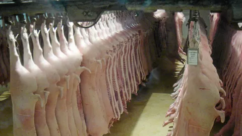 มะกันชงไทยนำเข้าหมูใช้สาร