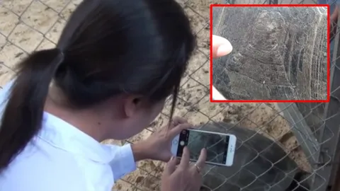 ไม่เชื่อก็ต้องเชื่อ ปู่เต่า มหาโชค มาช่วยวัดสร้างศาลา ให้เลขสุดแม่น