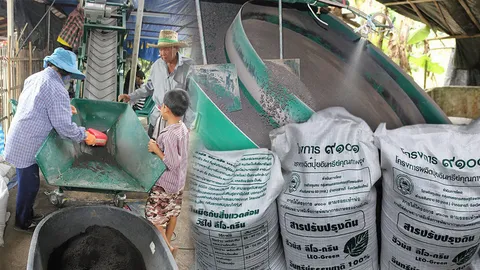 ใช้เถ้าโรงไฟฟ้า..ผสมปุ๋ย ปรับปรุงดิน..ฟื้นฟูบ่อปลา