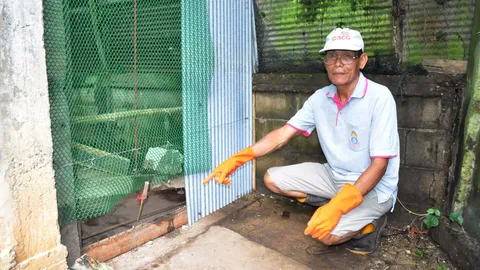 เจ็บมาเยอะ! ลุงลำปางแค้นงูเหลือมแอบกินไก่ ทำกับดักจับไปปล่อยป่า (คลิป)