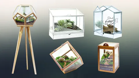 Mini Greenhouses สวนหย่อมในโรงเรือนหลังน้อย