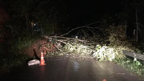 ฝนถล่มหนัก ดินสไลด์ ต้นไม้โค่น ทับเส้นทาง วัดหาดสำราญ-ดอยอ่างขาง