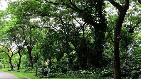 ทําด็อกพาร์คแห่งที่ 2 ที่เพชรเกษม 69