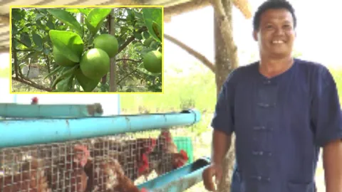 ชั่งหัวมัน พลิกชีวิตหนุ่มสงขลา หันปลูกผักเลี้ยงปลา มีรายได้แบบยั่งยืน