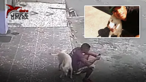 รับเลี้ยงเจ้าตูบที่ฉี่รดหลัง (คลิป)