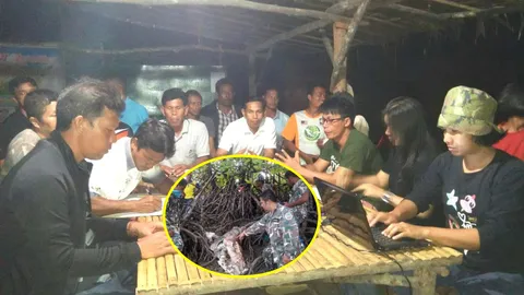 ล่าพะยูนตรัง เดือด! บิ๊กอุทยานฯ รุดถกชาวบ้าน ถูกฆ่าชำแหละ หรือตายเอง