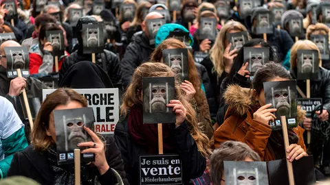 ต่อต้านการขายลิงเพื่อทดลอง