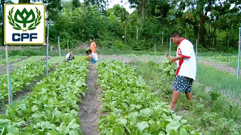 สืบสาน “ศาสตร์พระราชา” “ซีพี” สร้างต้นแบบเกษตรกรไทยยั่งยืน