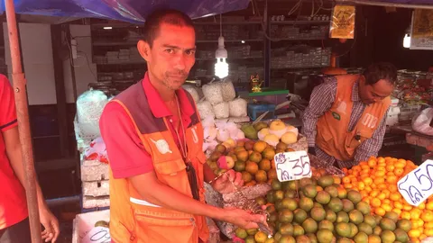 เชื่อมาให้โชค! ลูกตัวเงินตัวทอง ซุกตะกร้า ไล่ก็ไม่ไป แห่ตีเลขเด็ด