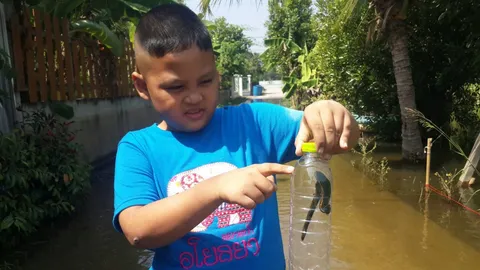 ปลิงควายอาละวาดที่บางเลน ยั้วเยี้ยในแม่น้ำท่าจีน ลือคนสุพรรณแอบปล่อย