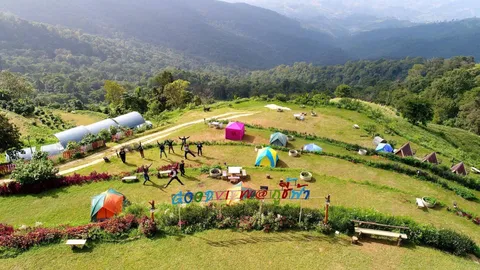 'ภูชี้ฟ้า'หนาวแล้ว เหลือ 10 องศา นทท.แห่ขึ้นชมทะเลหมอกตอนเช้า