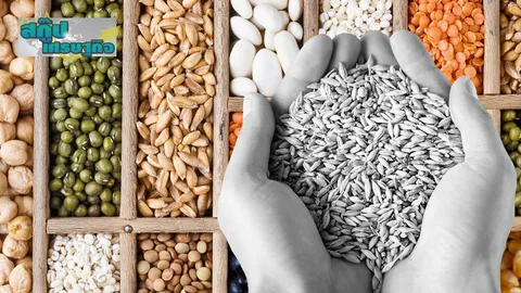 รื้อ พ.ร.บ.คุ้มครองพันธุ์พืช จัดสมดุลผลประโยชน์ทุน-สิทธิเกษตรกร