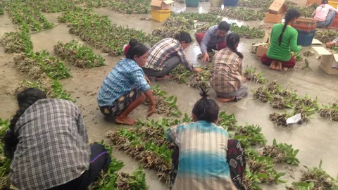 ปูด!! ระบบไบโอดาต้า ตรวจต่างด้าว ใช้งบเกือบ 500 ล้าน แต่ไม่ได้ใช้งาน