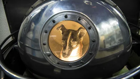 จรจัดแต่ยิ่งใหญ่