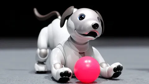 Aibo กลับมาใหม่ไฉไลกว่าเดิม วิเคราะห์และแสดงพฤติกรรมได้