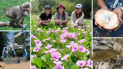 4 สถานที่สโลว์ไลฟ์ใน 'จังหวัดสุราษฎร์ธานี' ต้องไปให้ได้สักครั้งก่อนตาย