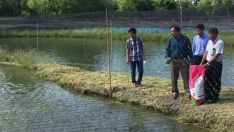 กรมส่งเสริมการเกษตร เผย ศพก.พัฒนาต่อเนื่อง ช่วยยกระดับคุณภาพเกษตรกรไทย