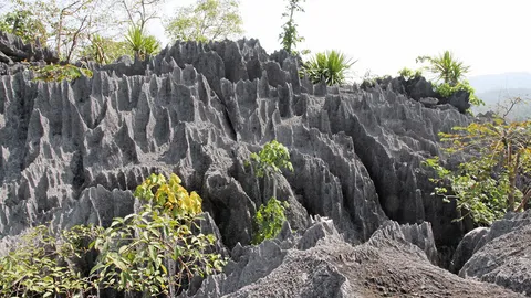 มหัศจรรย์…แนวหินปะการัง ธรรมชาติสร้างบนยอดดอย